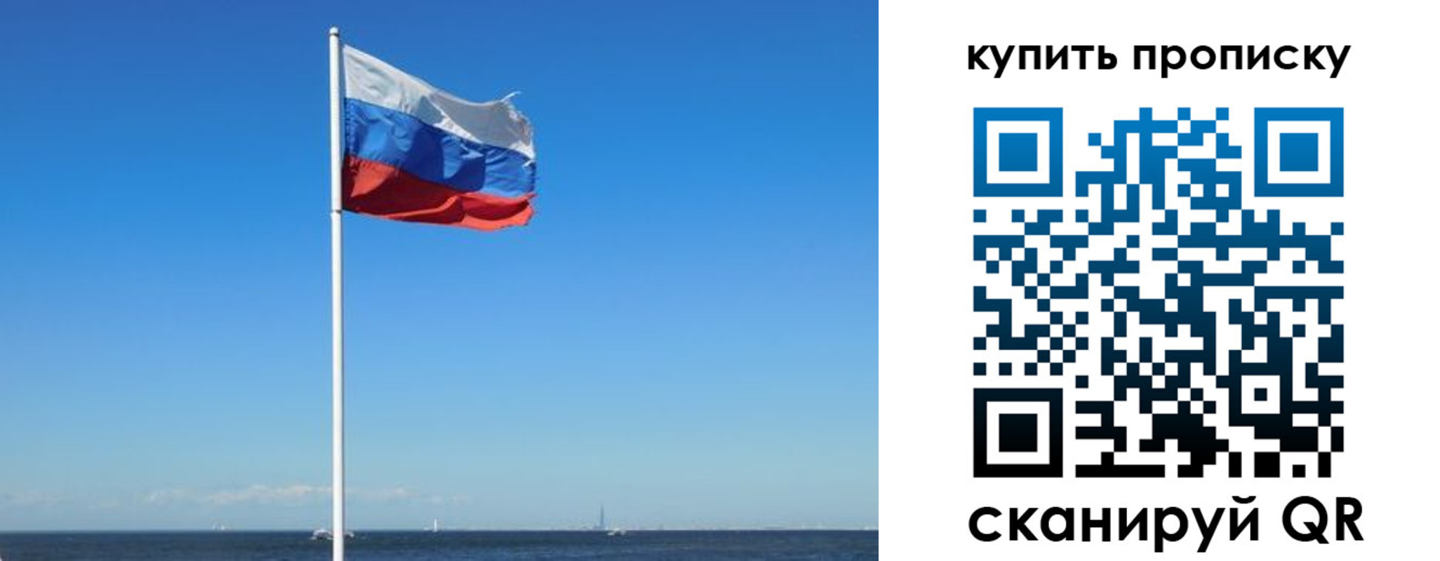 прописка для школы в Выборге